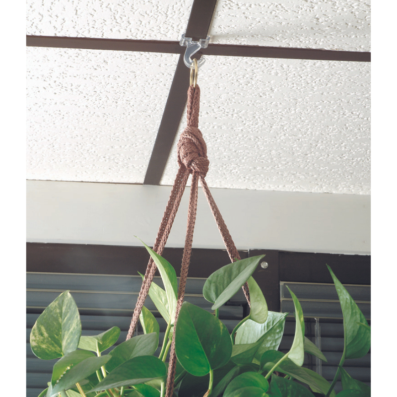 ceiling hook hanging plant