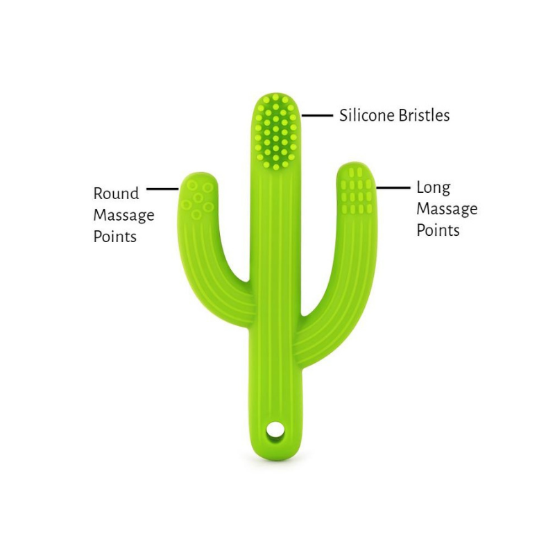 cactus silicone toothbrush